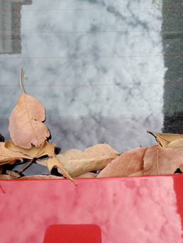 Correspondencia Ignacio Castro Rey