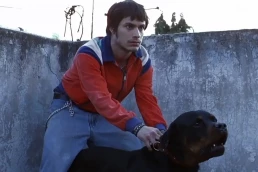 Un ameno sur para turistas En los veinticinco años de Amores perros (A. G. Iñárritu)