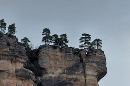 Ignacio Castro Rey. El coma moral, la violencia necesaria