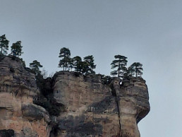 Ignacio Castro Rey. El coma moral, la violencia necesaria